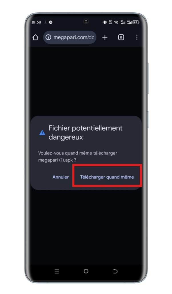 Confirmer le téléchargement