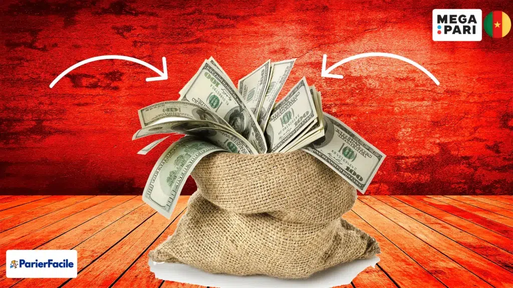 Comment faire un dépôt sur Megapari Cameroun